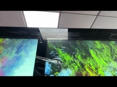 55-calowy cyfrowy stojak, kiosk z napisami zewnętrznymi, podwójny ekran, system Windows Linux