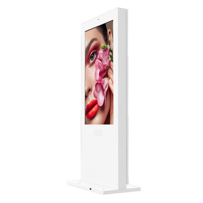 kupować Certyfikat RoHS online manufacture