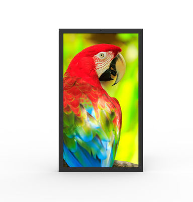 kupować Odporny na wodę HDMI Komercyjny ekran cyfrowy 49-calowy Ultrawide Monitor online manufacture