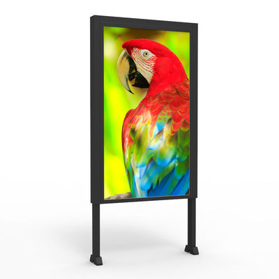 kupować HDMI Wi-Fi Bluetooth Podwójne Digital Signage 65 cali OEM online manufacture