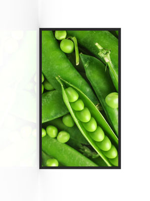 kupować 3000nits wodoodporny wyświetlacz reklamowy produkcja online