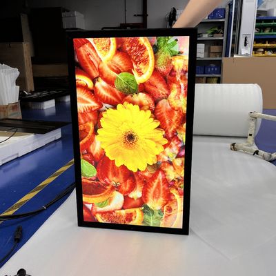 kupować HDMI IP67 wodoodporny zewnętrzny ekran reklamowy LED wyświetlacz lcd UV chroniony na ścianie produkcja online