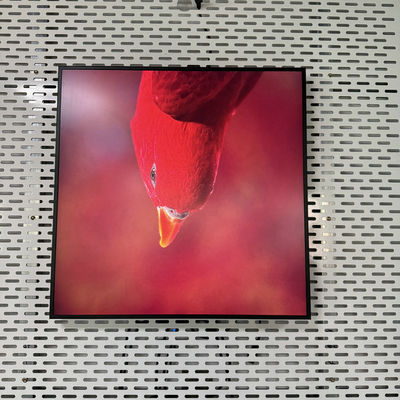 Rozdzielczość 948*948 Square All In One Digital Signage z interfejsem USB HDMI RJ45